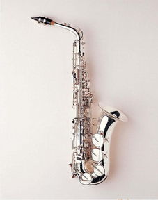 常见铜管乐器图鉴 演变、应用与分类辨识