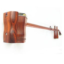 广国乐器产品全解析 最新展示与用户体验深度评测