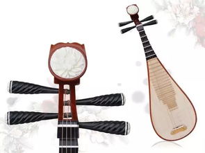 乐器养护丨古典才女的靡靡之音 琵琶