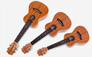 什么乐器简单易学？专家推荐最简单的乐器是它