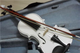 音乐与知识的殿堂 文体用品中的乐器与书籍